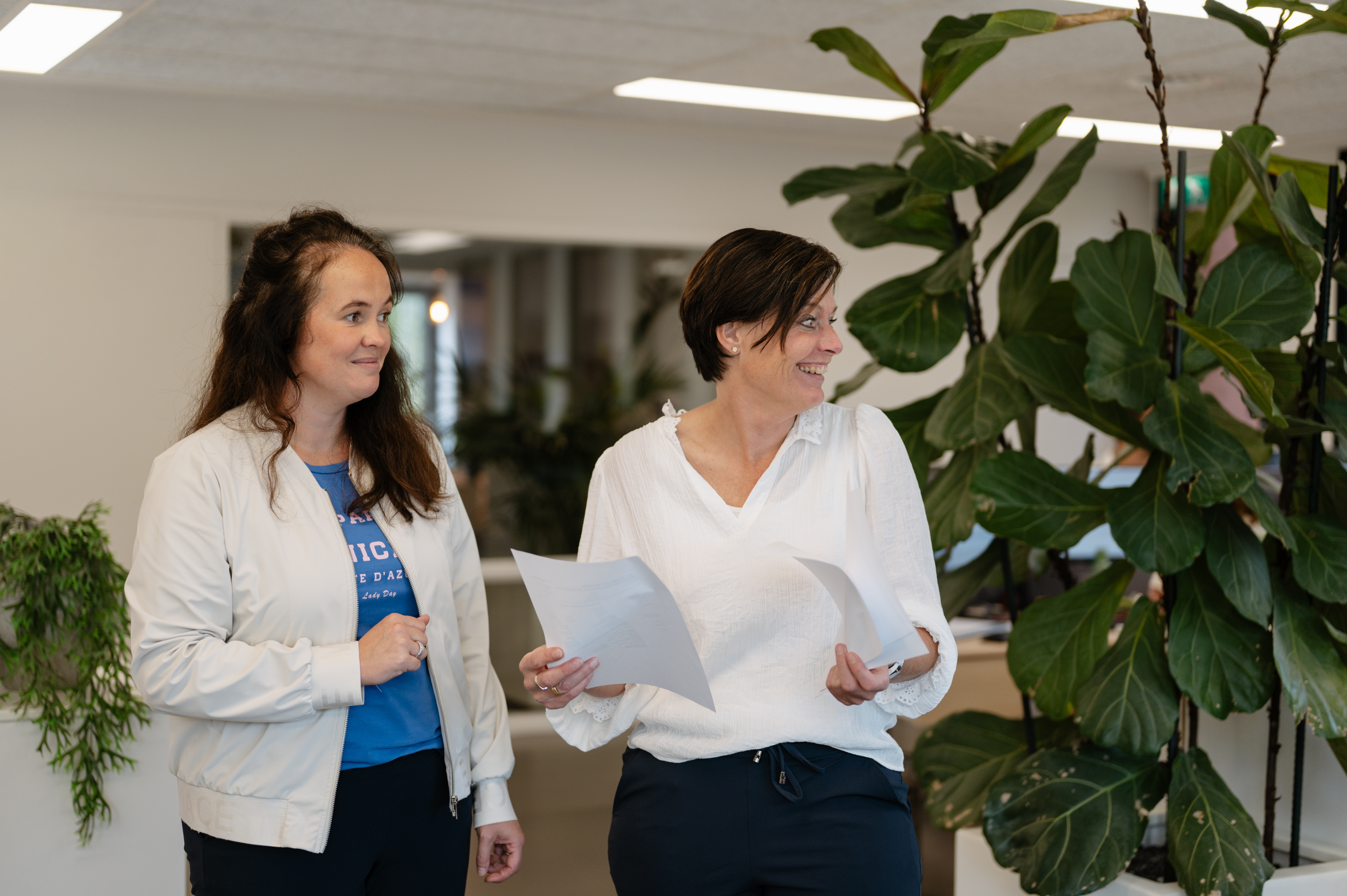 Kíen Licent Koopman HR 36