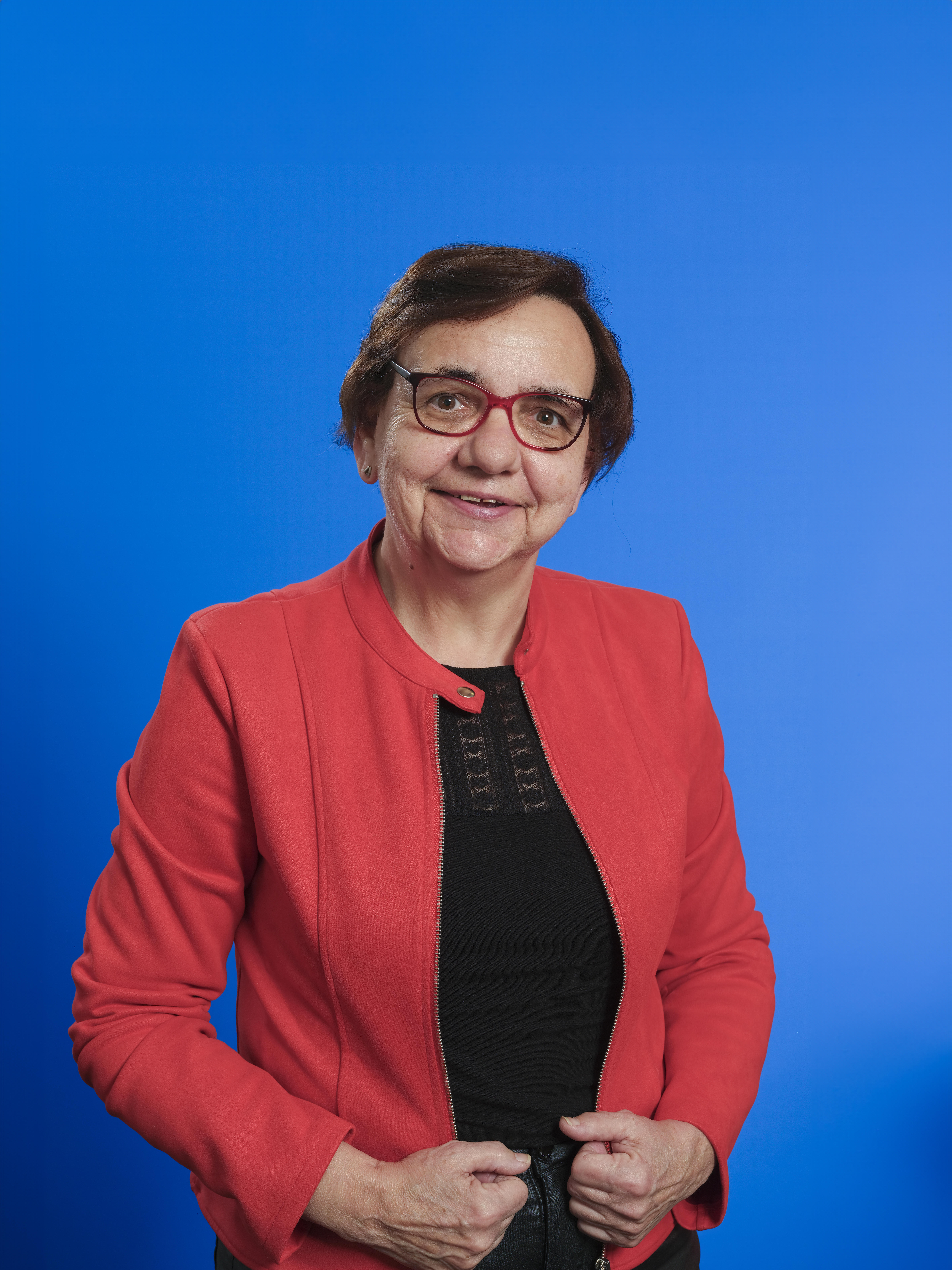 Steentjes Dinie Stegeman te Winkel