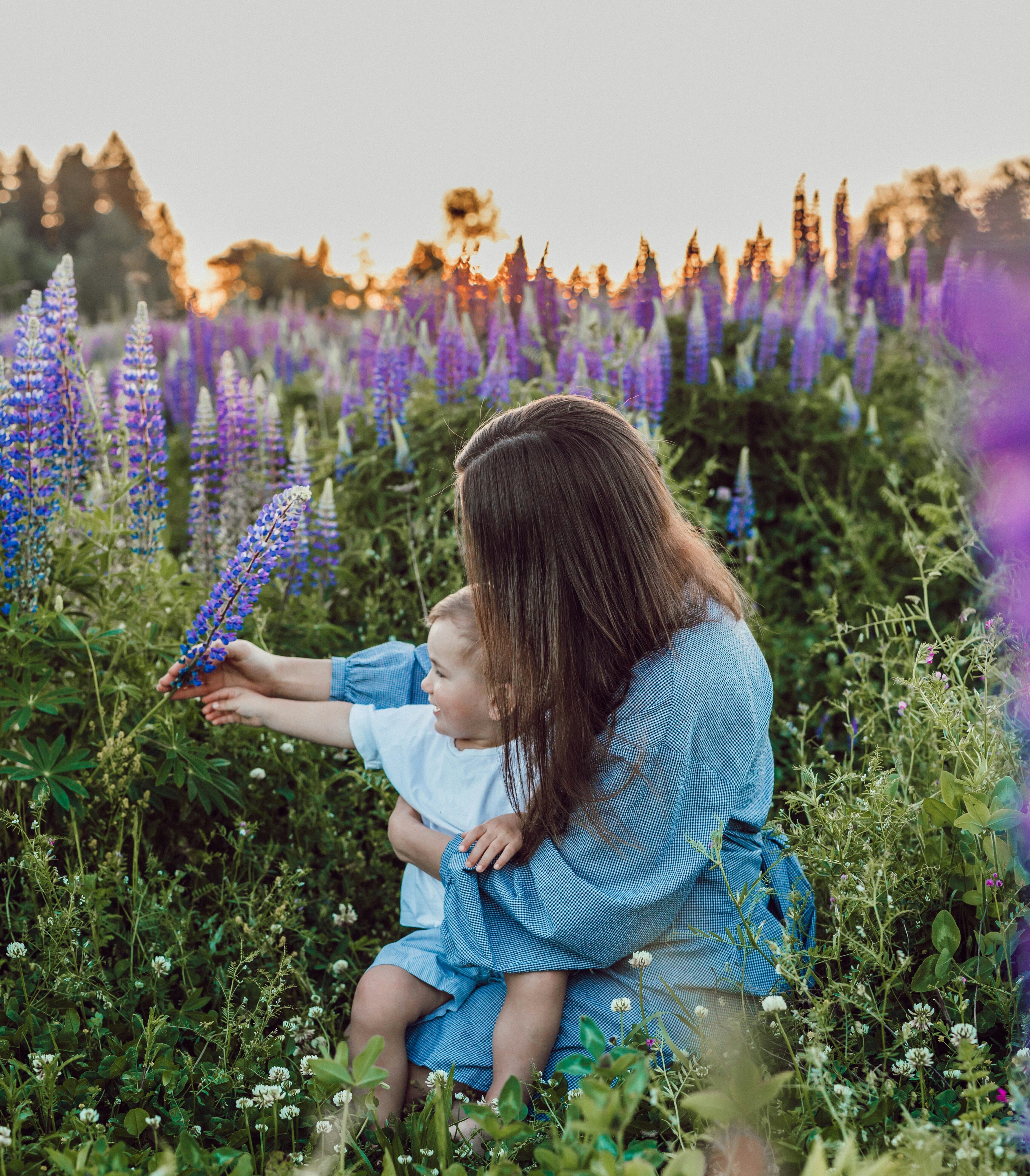 Liana mikah 6 K Rm H6k3 Rdk unsplash